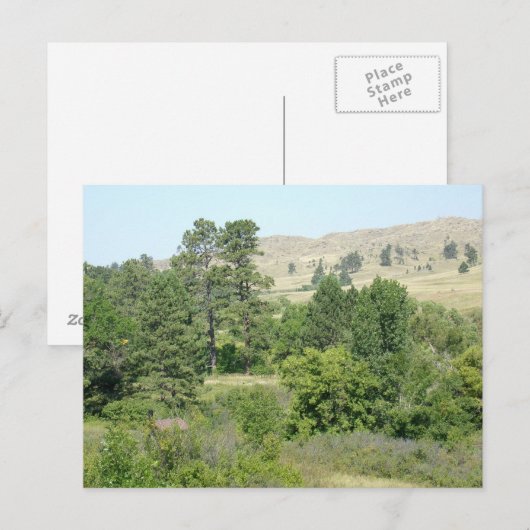 高い砂漠 ポストカード (正面/裏面)