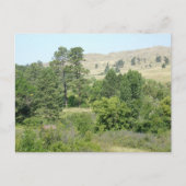 高い砂漠 ポストカード (正面)
