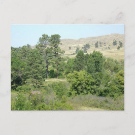 高い砂漠 ポストカード