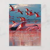 高い神と創造の聖句に目を上げる ポストカード (正面)