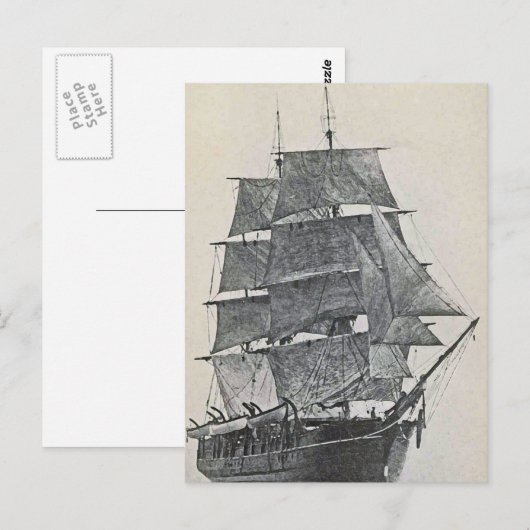 高い船のロゴ ポストカード (正面/裏面)