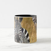 高い草のシマウマ ツートーンマグカップ (中央)