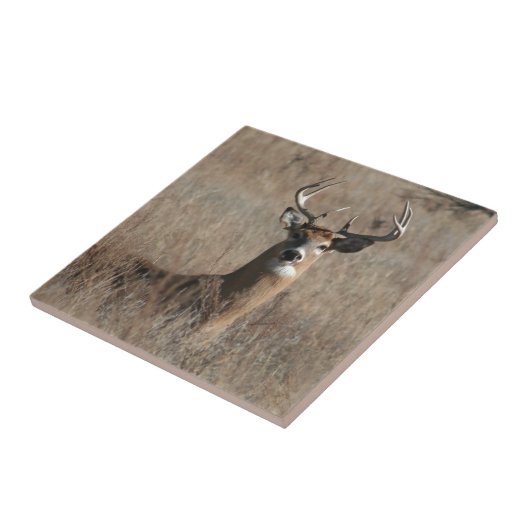 高い草の迷彩柄の大きいトロフィの木びき台のシカ タイル (側面)