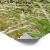 高い草の間を移動するゴリラ ポスター (角)