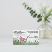 高い草の~の名刺の芝生のフラミンゴ! 名刺 (スタンド正面)