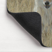 高い草のR2コヨーテ マウスパッド (コーナー)