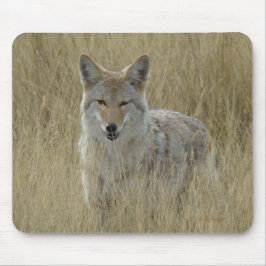 高い草のR2コヨーテ マウスパッド