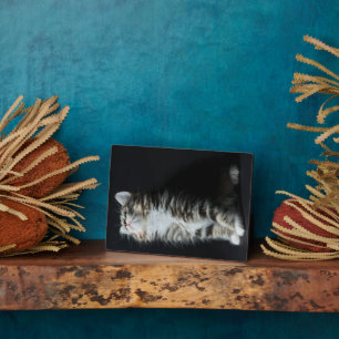 高い虎猫 フォトプラーク