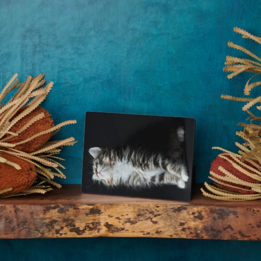 高い虎猫 フォトプラーク (側面)