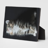 高い虎猫 フォトプラーク (側面)