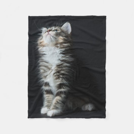 高い虎猫 フリースブランケット (正面)