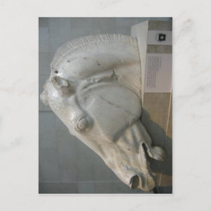 高い解像度は使用できません。Elgin_Marbles_162。 ポストカード