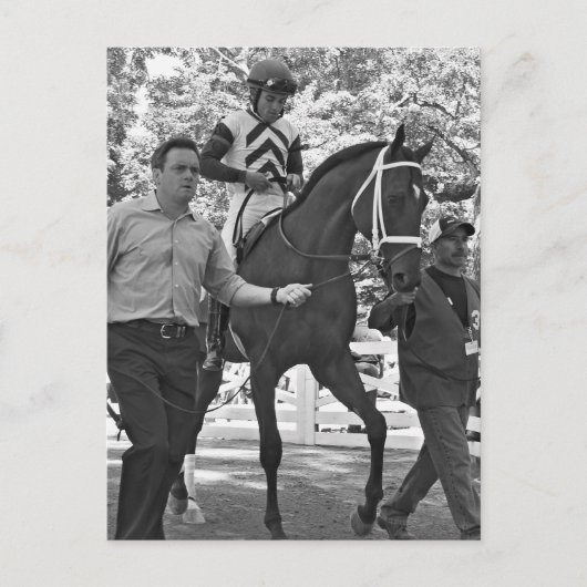 高い身代金 ポストカード (正面)