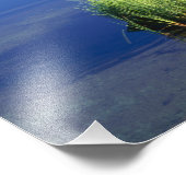 高い軟膏、UT、US、ペニスラ、 フォトプリント            (角)