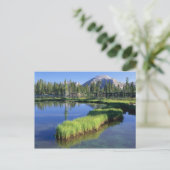 高い軟膏、UT、US、ペニスラ、 ポストカード (スタンド正面)