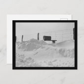 高い雪の写真のフェンス上のメールボックス ポストカード (正面/裏面)