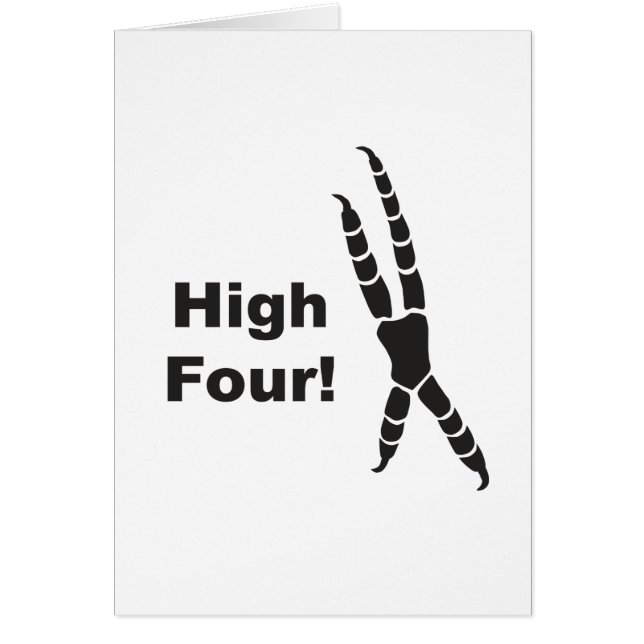 高い4羽のオウムの足跡(最高5) (正面)