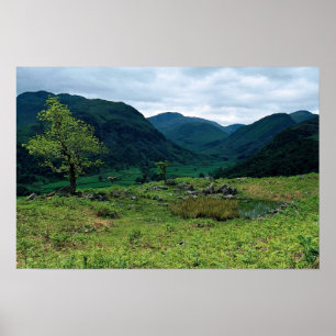 高いDoat、コーニッシュのCumbriaからのBorrowdale ポスター