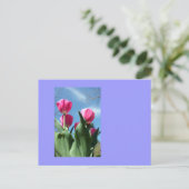 高くそびえるチューリップ ポストカード (スタンド正面)