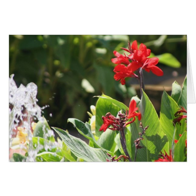 高く赤い花 (正面横)