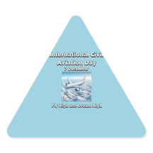 高く飛び、高く夢見る。民間航空日