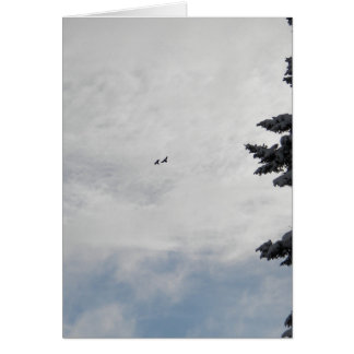 高く飛んでいる2羽の鳥