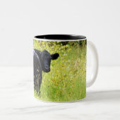 高く黄色い草のアンガスの雄牛 ツートーンマグカップ (正面右)