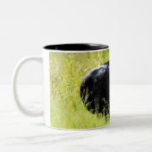 高く黄色い草のアンガスの雄牛 ツートーンマグカップ (左)