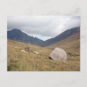 [高さ] ポストカード (正面)