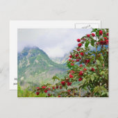 高タトラスロヴァキア ポストカード (正面/裏面)