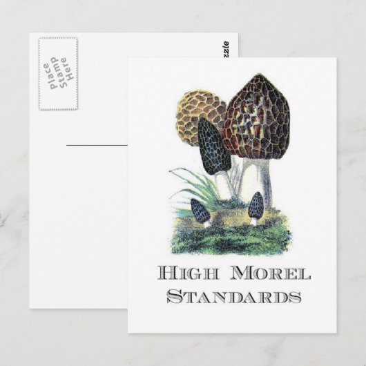 高モレル標準 ポストカード (正面/裏面)