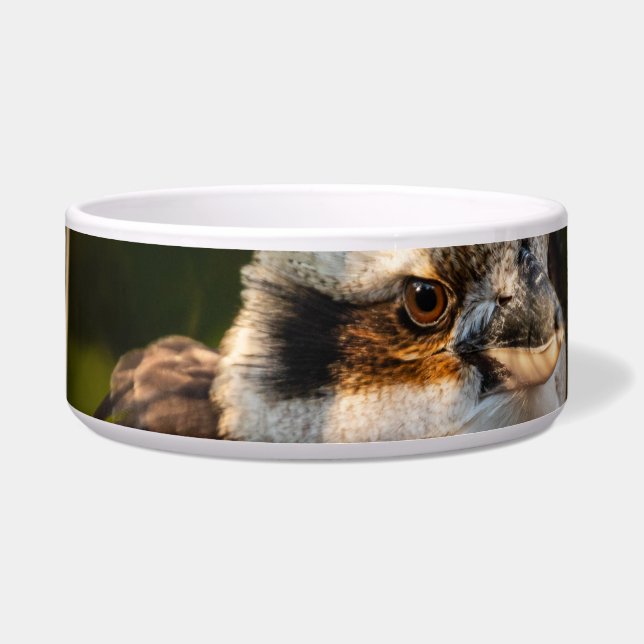 高加原を笑って膨らませた ボウル (正面)