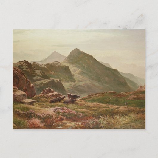 高原シーン ポストカード (正面)