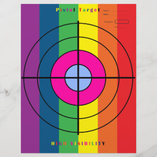 高可視ピストルターゲット チラシ