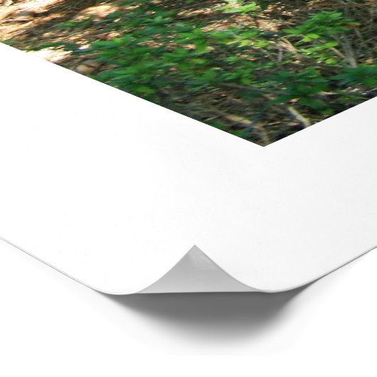 高台門 ポスター (角)