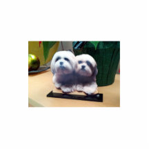 高品質でカスタムなアクリルのフォトスカルプチャー