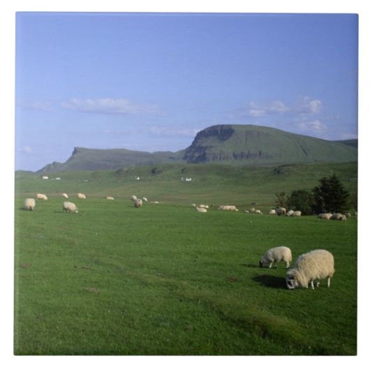 高地のスカイ島、キレー山脈 タイル (正面)