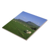 高地のスカイ島、キレー山脈 タイル (側面)