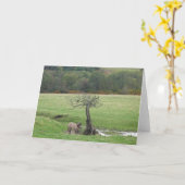 高地の子馬およびワタリガラスの挨拶状 カード (黄色い花)