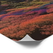 高地の湖 ポスター (角)