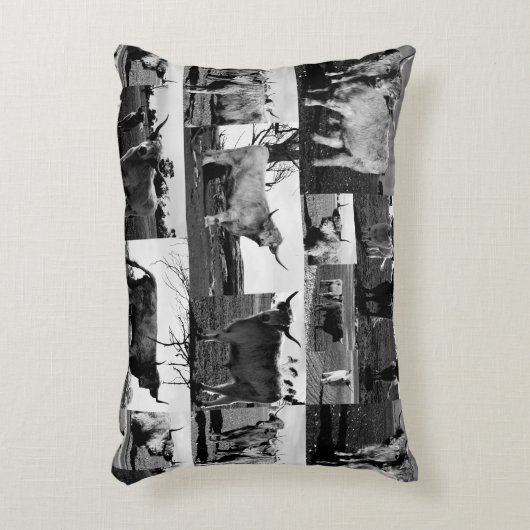 高地の牛は白黒でコラージュする アクセントクッション (正面(垂直))