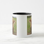 高地の牛子牛、Dufftownの近くで、 マグカップ (中央)