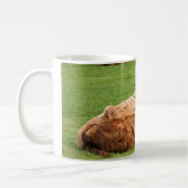 高地の牛 コーヒーマグカップ (左)