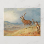 高地の風景、芸術の中の赤い鹿 シーズンポストカード (正面)