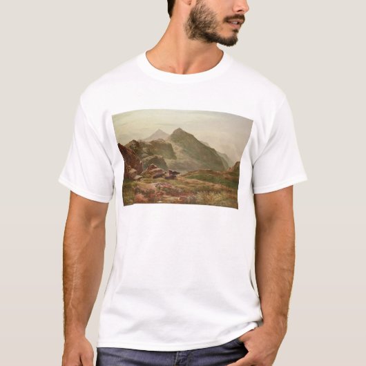 高地場面 Tシャツ (正面)
