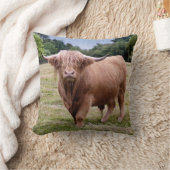 高地牛枕 クッション (ブランケット)