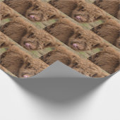 高地牛覆い ラッピングペーパー (角)