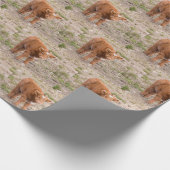 高地牛覆い ラッピングペーパー (角)