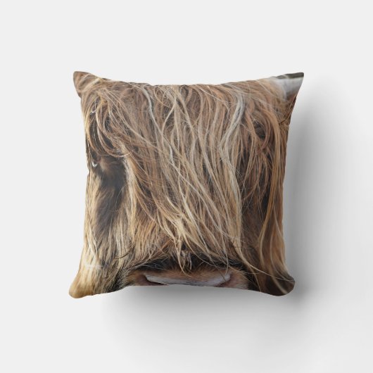 高地牛顔 クッション (裏面)