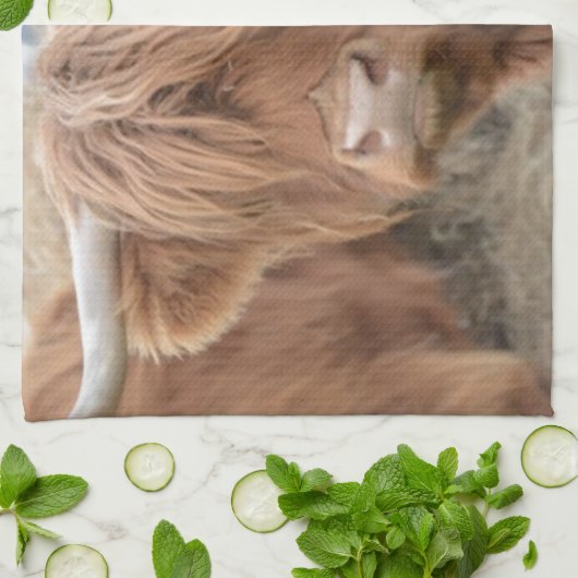 高地牛 キッチンタオル (折り畳み)